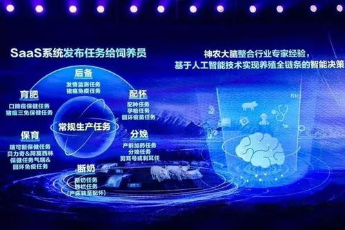 當(dāng)互聯(lián)網(wǎng)巨頭“跨界”養(yǎng)豬 科技賦能下的產(chǎn)業(yè)變革與深層邏輯