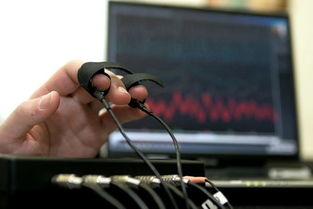 不借助測謊儀 網(wǎng)絡(luò)科技研發(fā)中辨識說謊者的四招實(shí)用技巧